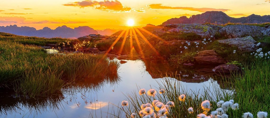 rays_landscape_white_flowers_pond_sunrise_grass_reflection_mountains_wallpaper_sky_background_hd_nature (1)